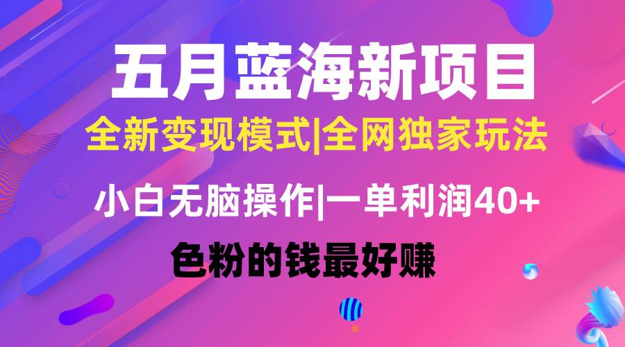 （10477期）五月蓝海项目全新玩法，小白无脑操作，一天几分钟，矩阵操作，月入4万+-云商网创