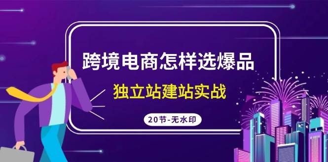 跨境电商怎样选爆品，独立站建站实战（20节高清无水印课）-云商网创