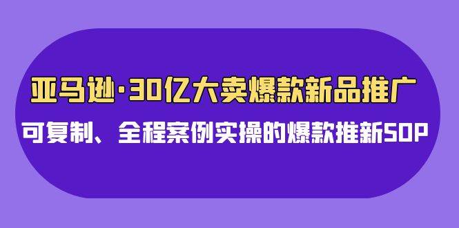 （9944期）亚马逊30亿·大卖爆款新品推广，可复制、全程案例实操的爆款推新SOP-云商网创