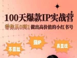小红书100天爆款IP实战营，带你从0到1做出高价值的小红书号-云商网创