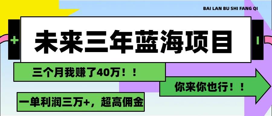 （11716期）未来三年，蓝海赛道，月入3万+-云商网创