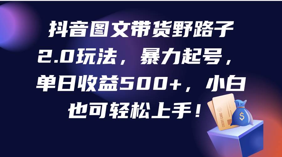 （9790期）抖音图文带货野路子2.0玩法，暴力起号，单日收益500+，小白也可轻松上手！-云商网创