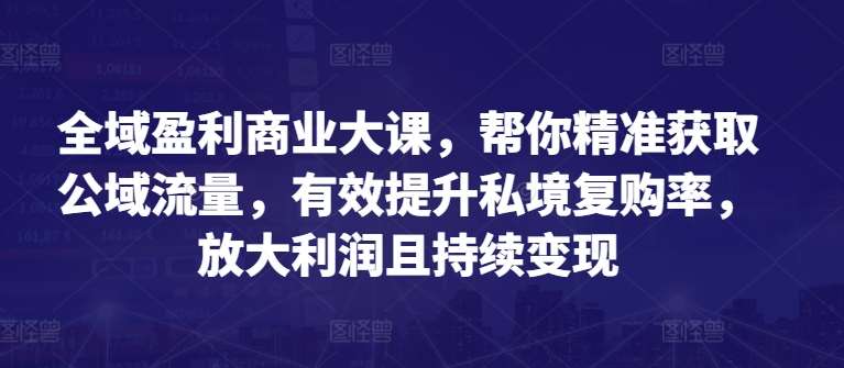 全域盈利商业大课，帮你精准获取公域流量，有效提升私境复购率，放大利润且持续变现-云商网创