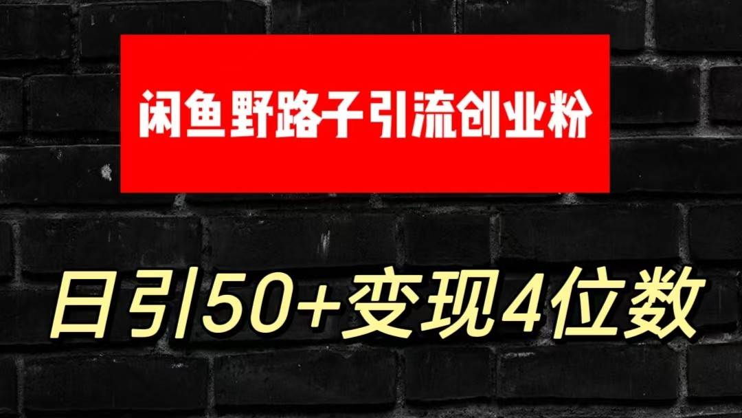 大眼闲鱼野路子引流创业粉，日引50+单日变现四位数-云商网创