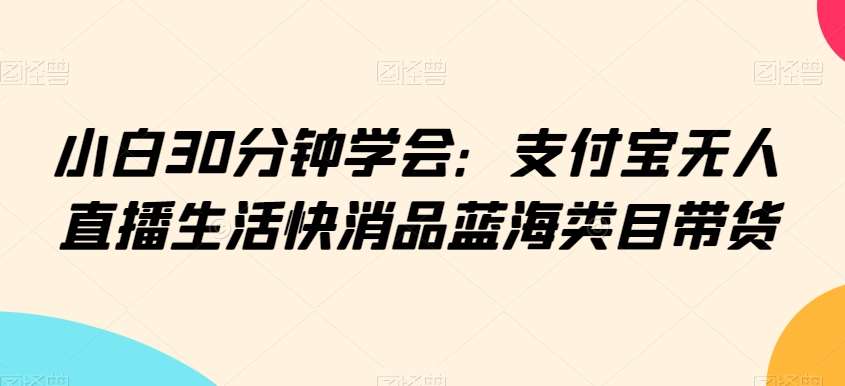 小白30分钟学会：支付宝无人直播生活快消品蓝海类目带货【揭秘】-云商网创