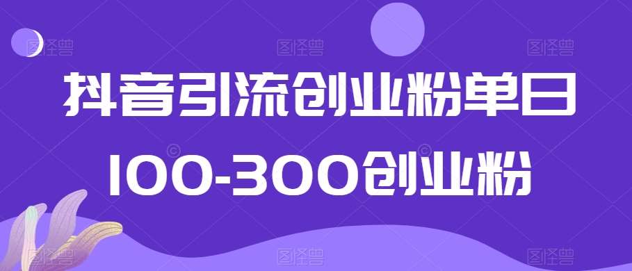 抖音引流创业粉单日100-300创业粉【揭秘】-云商网创