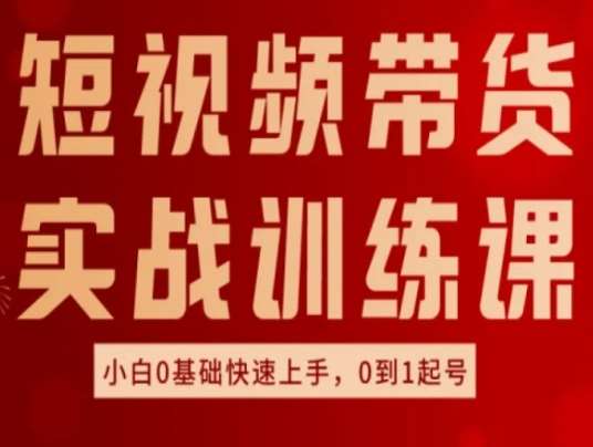 短视频带货实战训练课，好物分享实操，小白0基础快速上手，0到1起号-云商网创