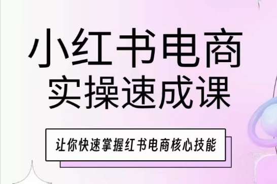 小红书电商实操速成课，让你快速掌握红书电商核心技能-云商网创