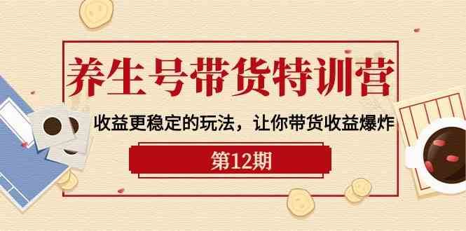 养生号带货特训营【12期】收益更稳定的玩法，让你带货收益爆炸（9节直播课）-云商网创