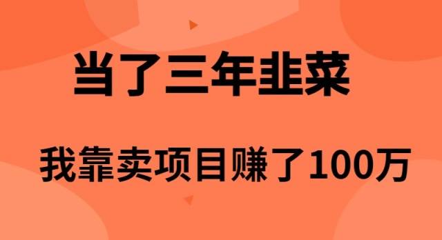 当了3年韭菜，我靠卖项目赚了100万-云商网创