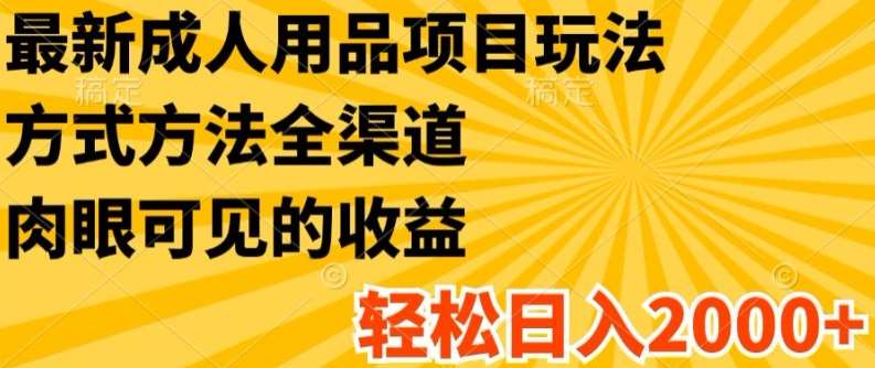 最新成人用品项目玩法，方式方法全渠道，轻松日入2K+【揭秘】-云商网创