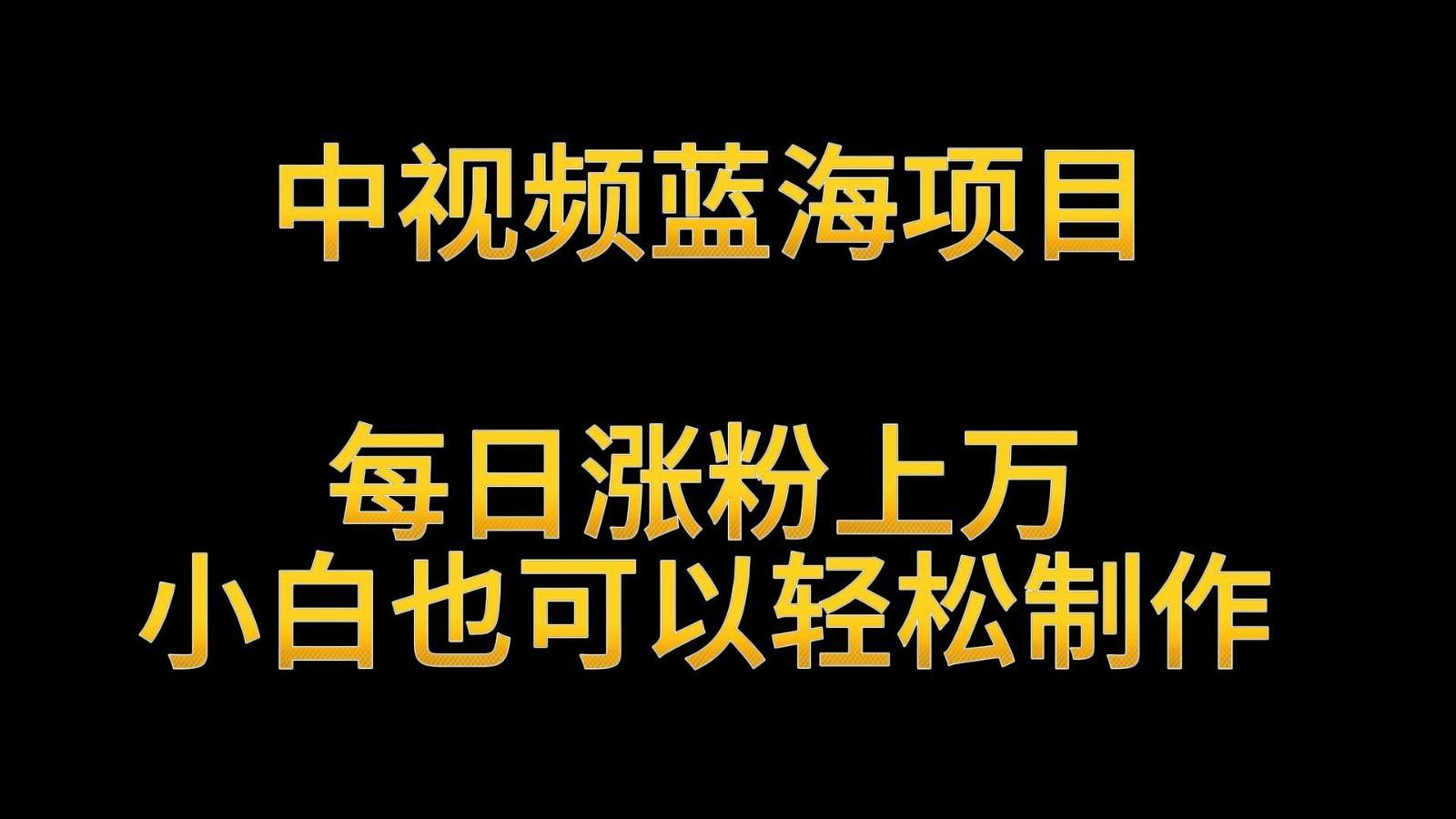 中视频蓝海项目，解读英雄人物生平，每日涨粉上万，小白也可以轻松制作，月入过万-云商网创