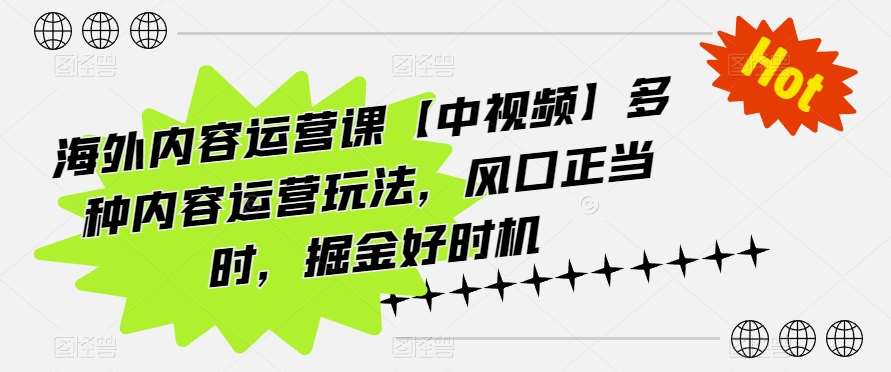 海外内容运营课【中视频】多种内容运营玩法，风口正当时，掘金好时机-云商网创