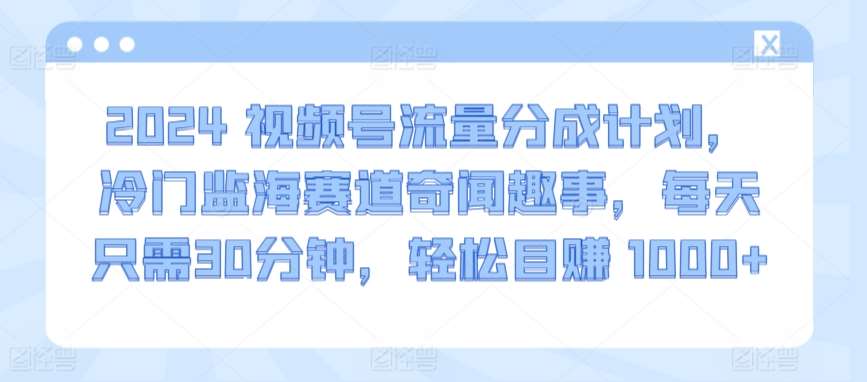 2024视频号流量分成计划，冷门监海赛道奇闻趣事，每天只需30分钟，轻松目赚 1000+【揭秘】-云商网创