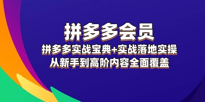 拼多多 会员，拼多多实战宝典+实战落地实操，从新手到高阶内容全面覆盖-云商网创