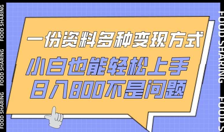 一份资料多种变现方式，小白也能轻松上手，日入800不是问题【揭秘】-云商网创