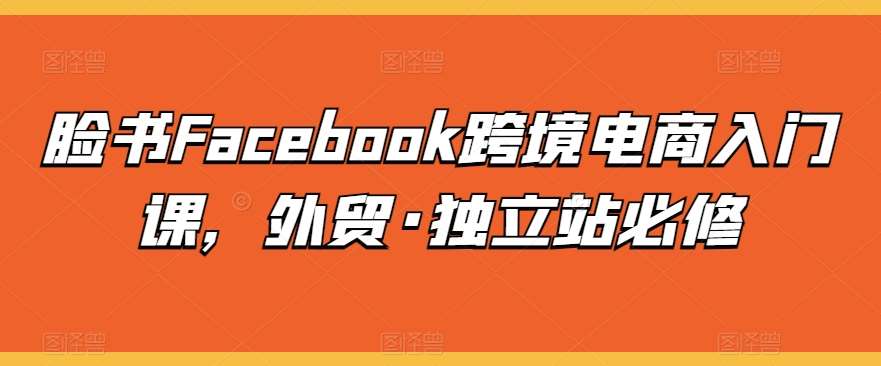 脸书Facebook跨境电商入门课，外贸·独立站必修-云商网创