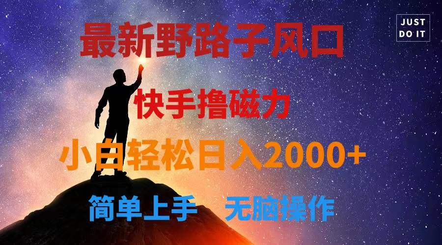 最新风口！快手撸磁力，野路子，小白无脑操作日入2000+-云商网创