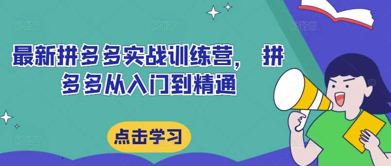 最新拼多多实战训练营， 拼多多从入门到精通-云商网创