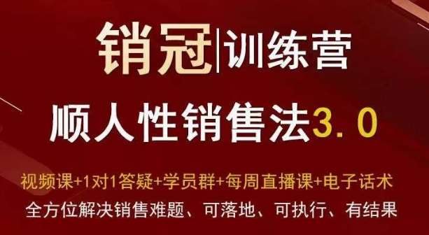 爆款！销冠训练营3.0之顺人性销售法，全方位解决销售难题、可落地、可执行、有结果-云商网创