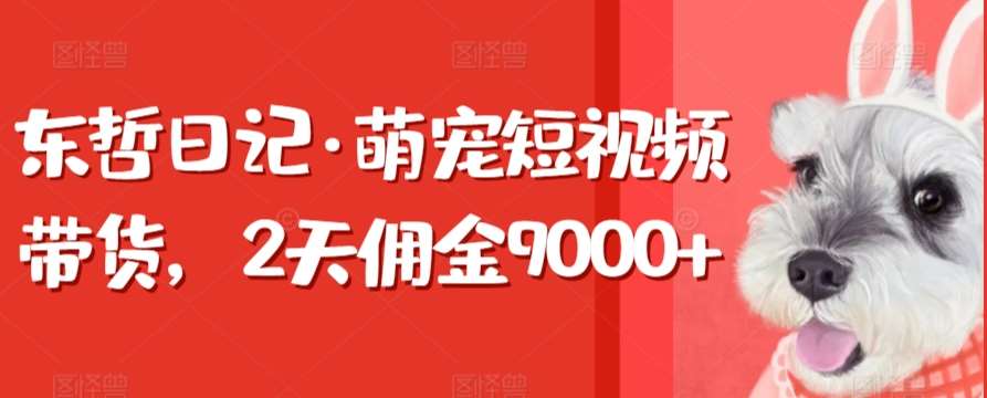 东哲日记·萌宠短视频带货，2天佣金9000+-云商网创