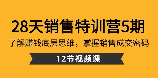 28天销售特训营5期：了解赚钱底层思维，掌握销售成交密码（12节课）-云商网创