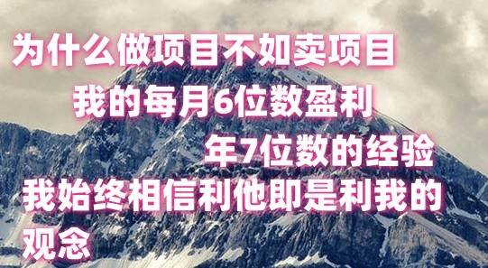 做项目不如卖项目，每月6位数盈利，年7位数经验-云商网创