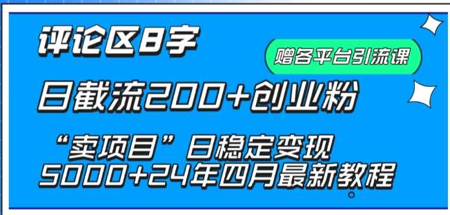 抖音评论区8字日截流200+创业粉 “卖项目”日稳定变现5000+【揭秘】-云商网创