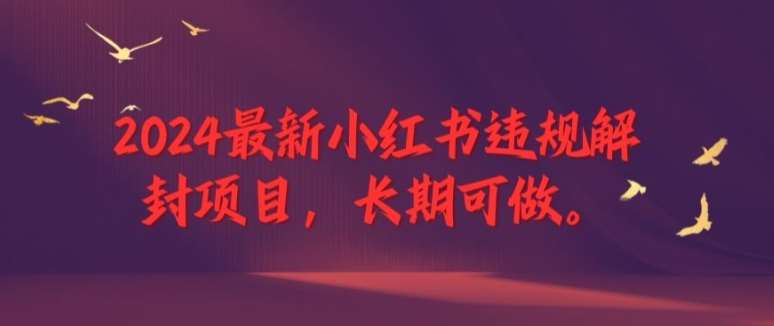 2024最新小红书违规解封项目，长期可做，一个可以做到退休的项目【揭秘】-云商网创