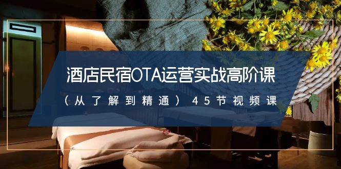 酒店民宿-OTA运营实战高阶课（从了解到精通）45节视频课-云商网创