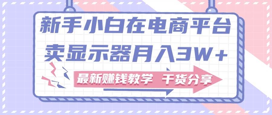 （11053期）新手小白如何做到在电商平台卖显示器月入3W+，最新赚钱教学干货分享-云商网创