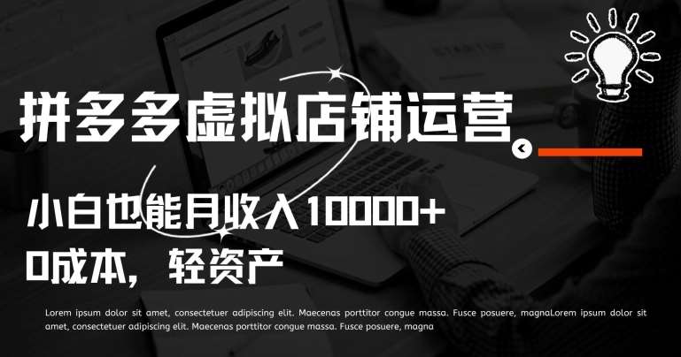 拼多多虚拟店铺运营小白也能月收入10000+【揭秘】-云商网创