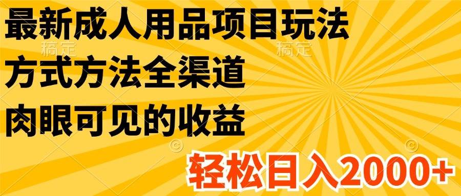 最新成人用品项目玩法，方式方法全渠道，肉眼可见的收益，轻松日入2000+-云商网创