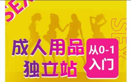 成人用品独立站从0-1入门，成品独立站运营全流程教学，七大好卖成品独立站推荐-云商网创