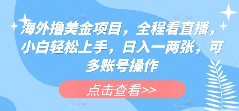 海外撸美金项目，全程看直播，小白轻松上手，日入一两张，可多账号操作【揭秘】-云商网创