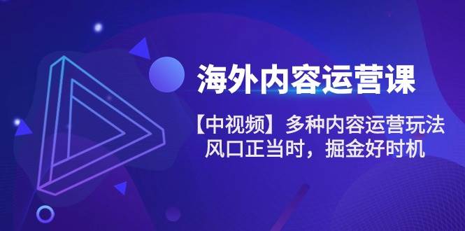 （10833期）海外内容 运营课【中视频】多种内容运营玩法 风口正当时 掘金好时机-101节-云商网创