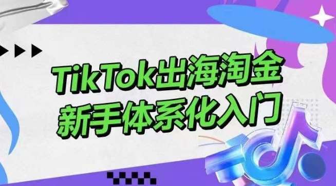 TikTok出海淘金，新手体系化入门，零基础快速入门，掌握短视频、直播带货等引流到变现的知识-云商网创