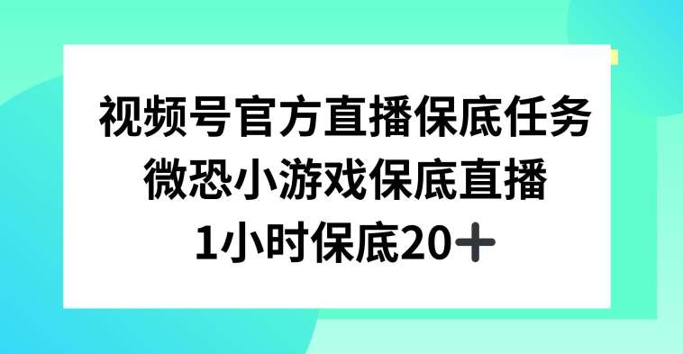 视频号直播任务，微恐小游戏，1小时20+【揭秘】-云商网创