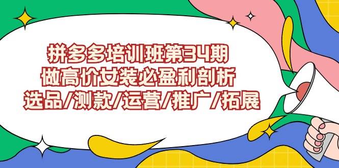 拼多多培训班第34期：做高价女装必盈利剖析  选品/测款/运营/推广/拓展-云商网创