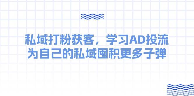 （10728期）某收费课：私域打粉获客，学习AD投流，为自己的私域囤积更多子弹-云商网创