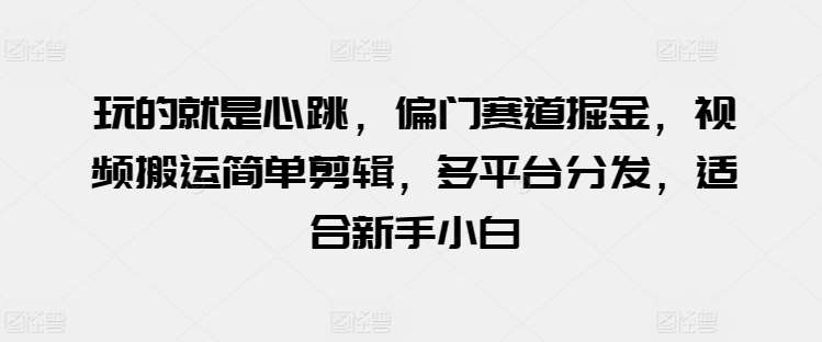 玩的就是心跳，偏门赛道掘金，视频搬运简单剪辑，多平台分发，适合新手小白【揭秘】-云商网创