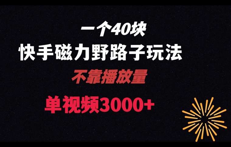 一个40块，快手联合美团磁力新玩法，无视机制野路子玩法，单视频收益4位数【揭秘】-云商网创