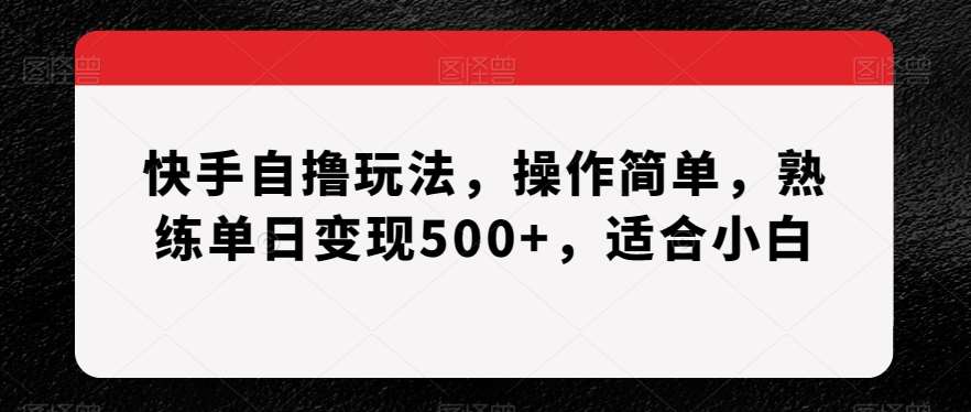 快手自撸玩法，操作简单，熟练单日变现500+，适合小白【揭秘】-云商网创