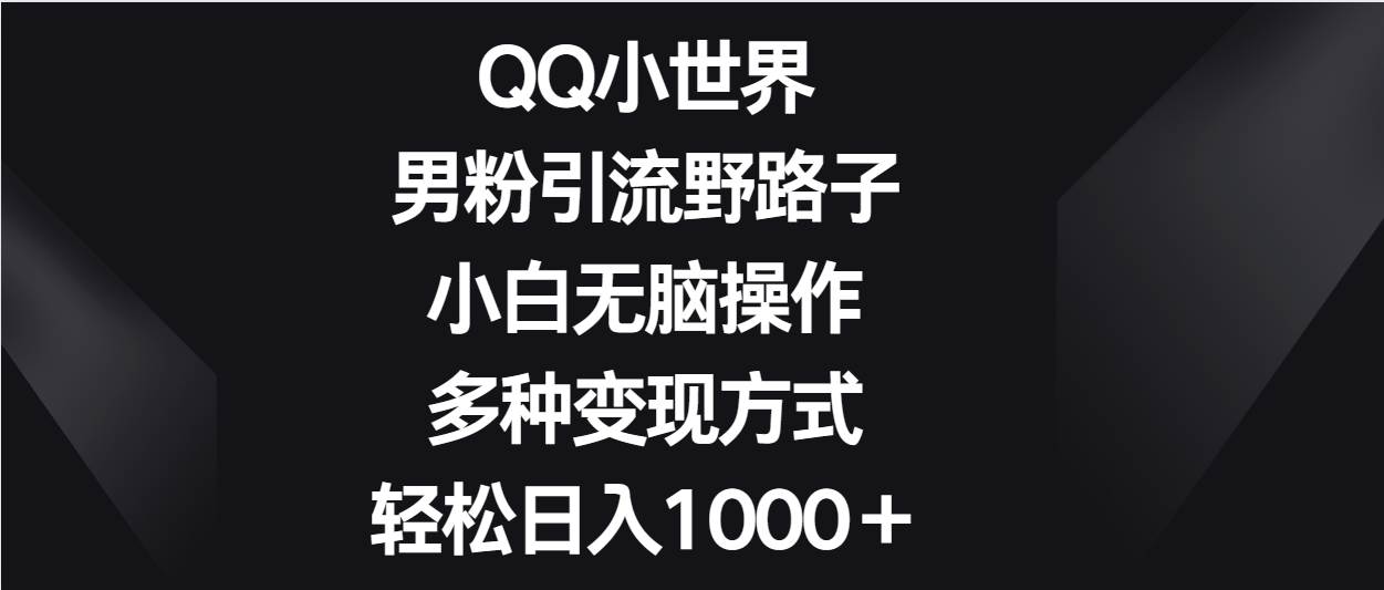 QQ小世界男粉引流野路子，小白无脑操作，多种变现方式轻松日入1000＋-云商网创