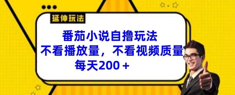 番茄小说自撸玩法，不看播放量，不看视频质量，每天200+【揭秘】-云商网创