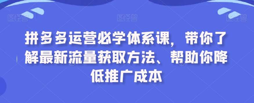 拼多多运营必学体系课，带你了解最新流量获取方法、帮助你降低推广成本-云商网创