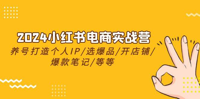 2024小红书电商实战营，养号打造IP/选爆品/开店铺/爆款笔记/等等（24节）-云商网创