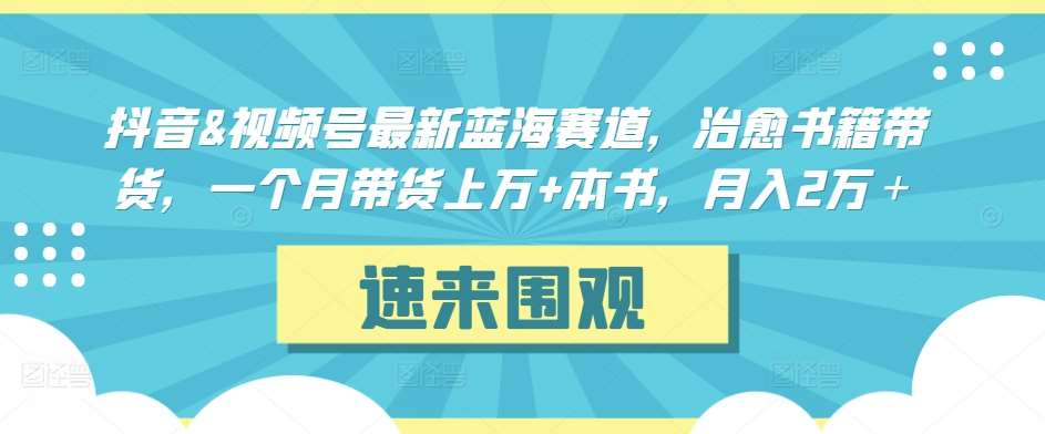 抖音&视频号最新蓝海赛道，治愈书籍带货，一个月带货上万+本书，月入2万＋【揭秘】-云商网创