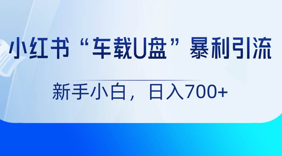 小红书“车载U盘”项目，暴利引流，新手小白轻松日入700+-云商网创