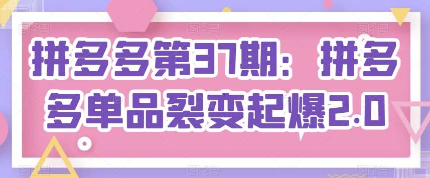 拼多多第37期：拼多多单品裂变起爆2.0-云商网创